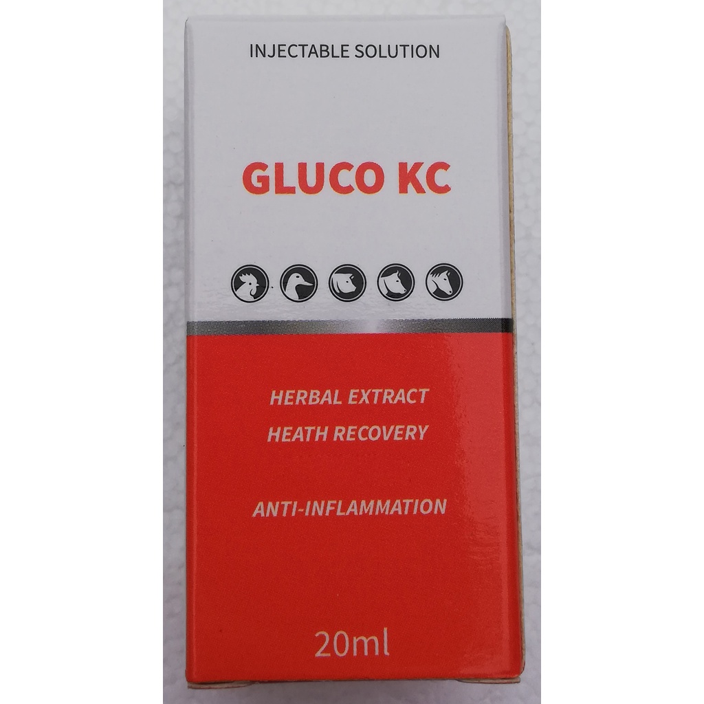 1 lọ Gluco KC 20ml Dùng tốt cho trâu, bò, heo, dê, cừu, ngựa, chó, mèo