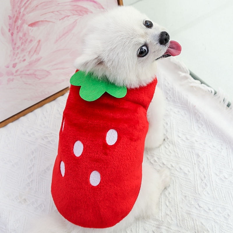 Áo nỉ lông hình kem, dâu, doreamon cho thú cưng