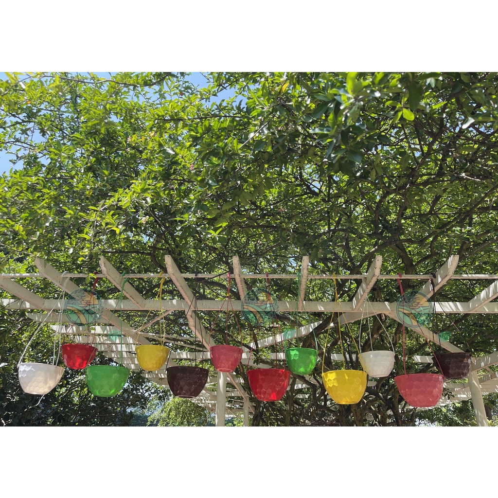 Chậu Nhựa Treo Họa Tiết Golf, Nhựa Dẻo loại 1, Sẵn lỗ thoát nước .