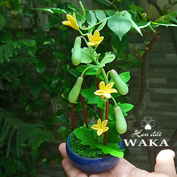 Hoa Đất Sét Mini- Giàn Bầu