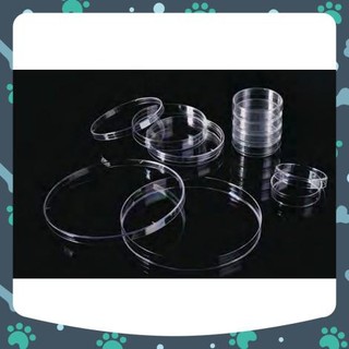 Đĩa Petri nhựa-Biologix 150x15mm Túi 10 cái