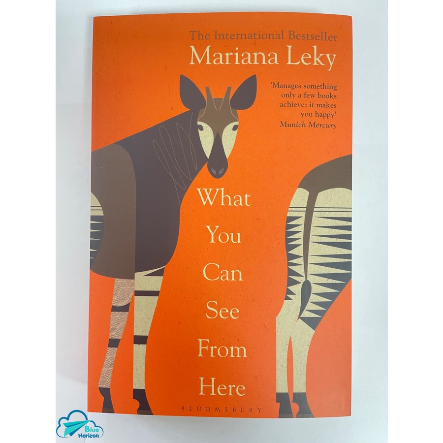 TIểu thuyết tiếng Anh - What You Can See From Here