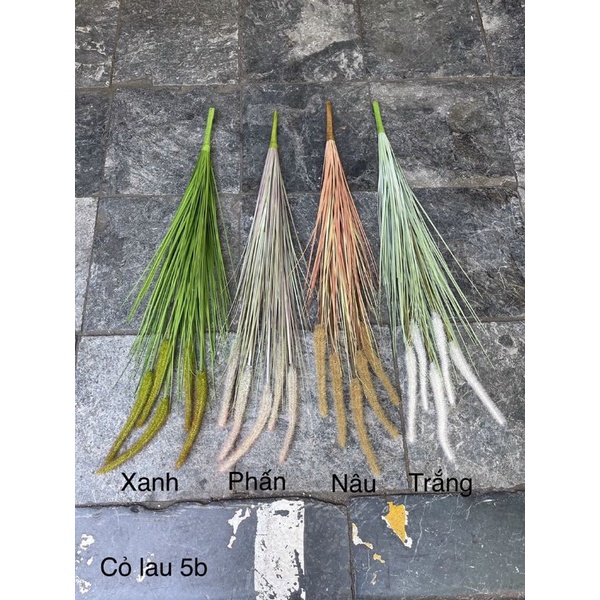 Hoa Giả - cành cỏ lau 5 nhánh - trang trí nhà cửa.