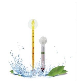 Nhiệt kế hồ cá- thủy sinh- nhiệt kế thủy ngân