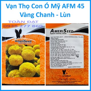 Hạt giống vạn thọ con ó mỹ afm vàng chanh , xuất xứ thái lan