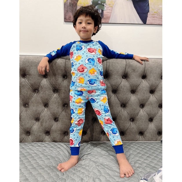 Bộ quần áo cotton thun vnxk dài tay cho em bé trai, bảng màu siêu đẹp