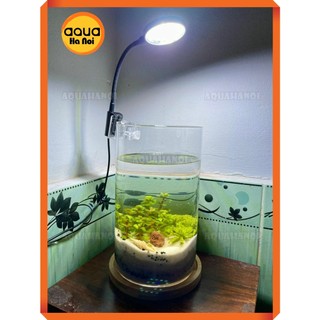 Đèn led rọi bể cá thủy sinh mini Coco JY-25