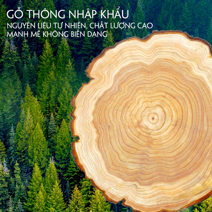 Cũi gỗ 2 tầng cho bé , Nôi cũi em bé chất liệu gỗ thông size 105 x 60 x 85 cm