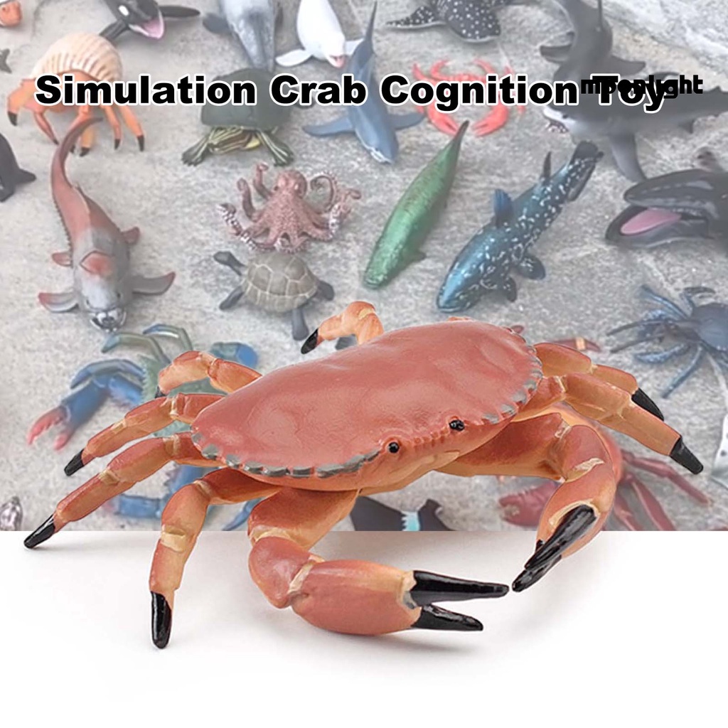 Đồ Chơi Mô Hình Con Cua Tạo Hình Phát Triển Trí Thông Minh Cho Trẻ Em