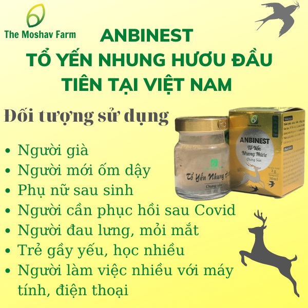 Tổ Yến Nhung hươu chưng sẵn Anbinest dành cho người mới ốm dậy, người già, người cần bồi bổ cơ thể 1 hộp 70ml