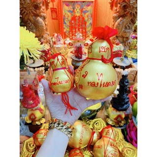 Hồ lô vàng thái lan đã sên sẵn