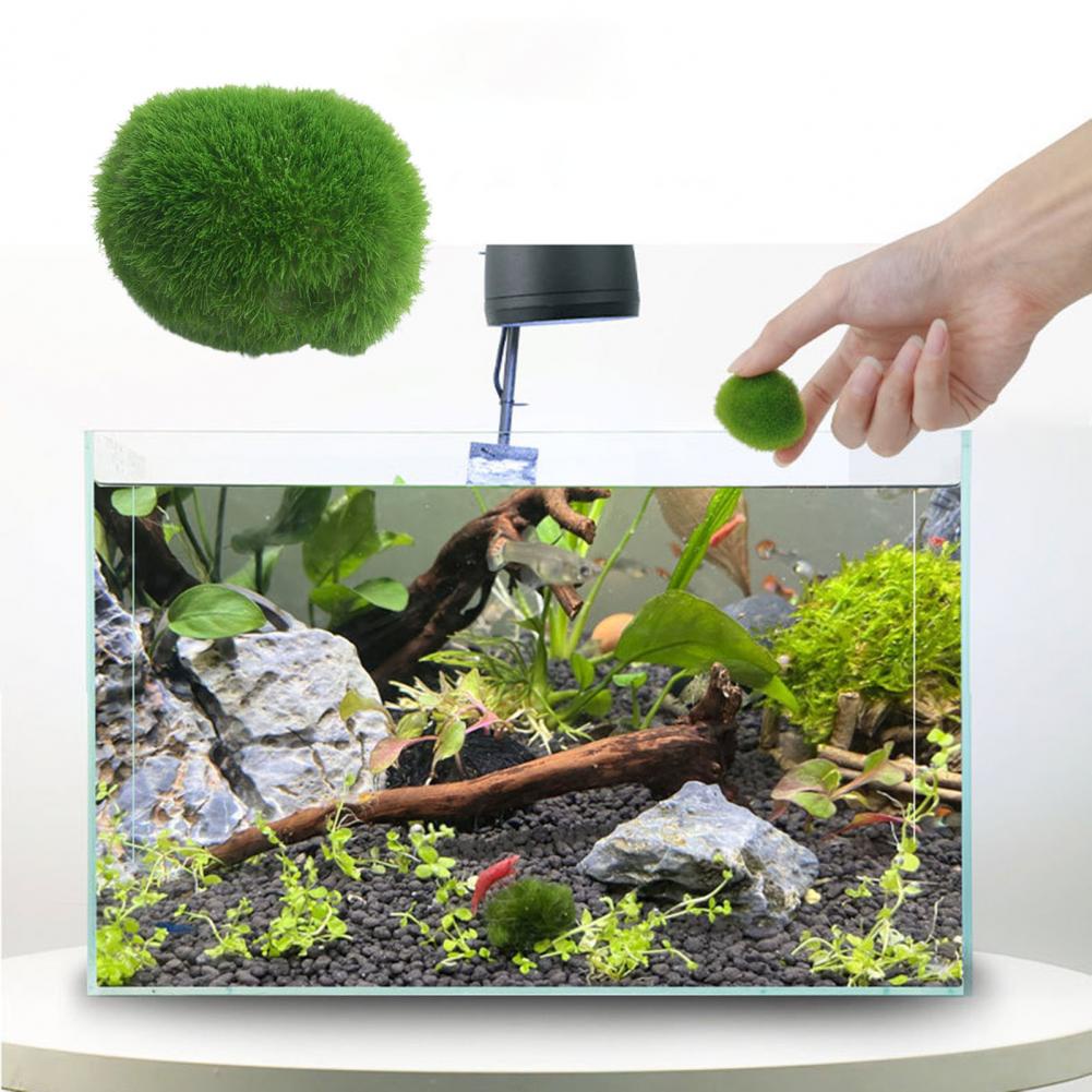 Cây Tảo Biển Giả Trang Trí Bể Cá 3-4cm