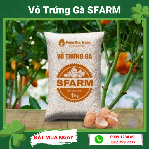 Vỏ Trứng Gà Đặng Gia Trang 1kg (Sfarm) (Vườn Sài Gòn - Vuon Sai Gon)