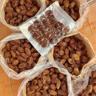 HỒNG TREO GIÓ ĐÀ LẠT