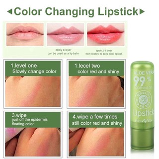 SON DƯỠNG MÔI LÔ HỘI ALOE VERA