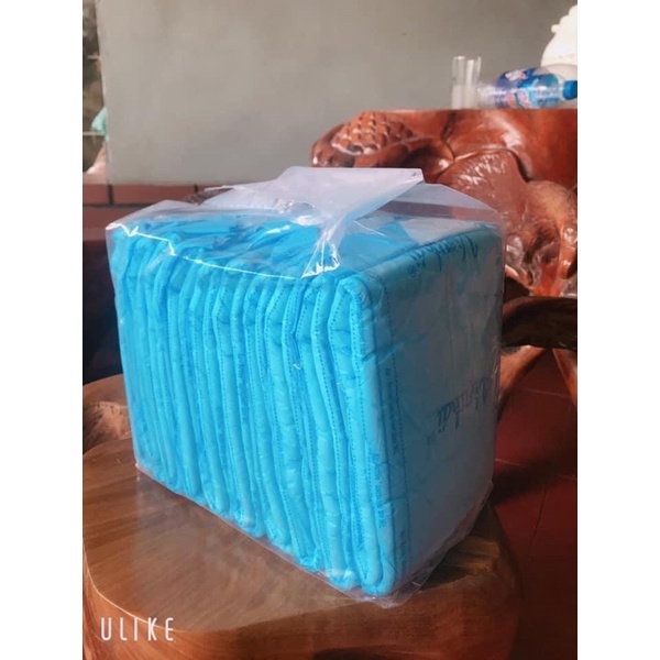 [Freeship] 50 miếng tã dán người lớn Việt Thái freesize 40 80kg