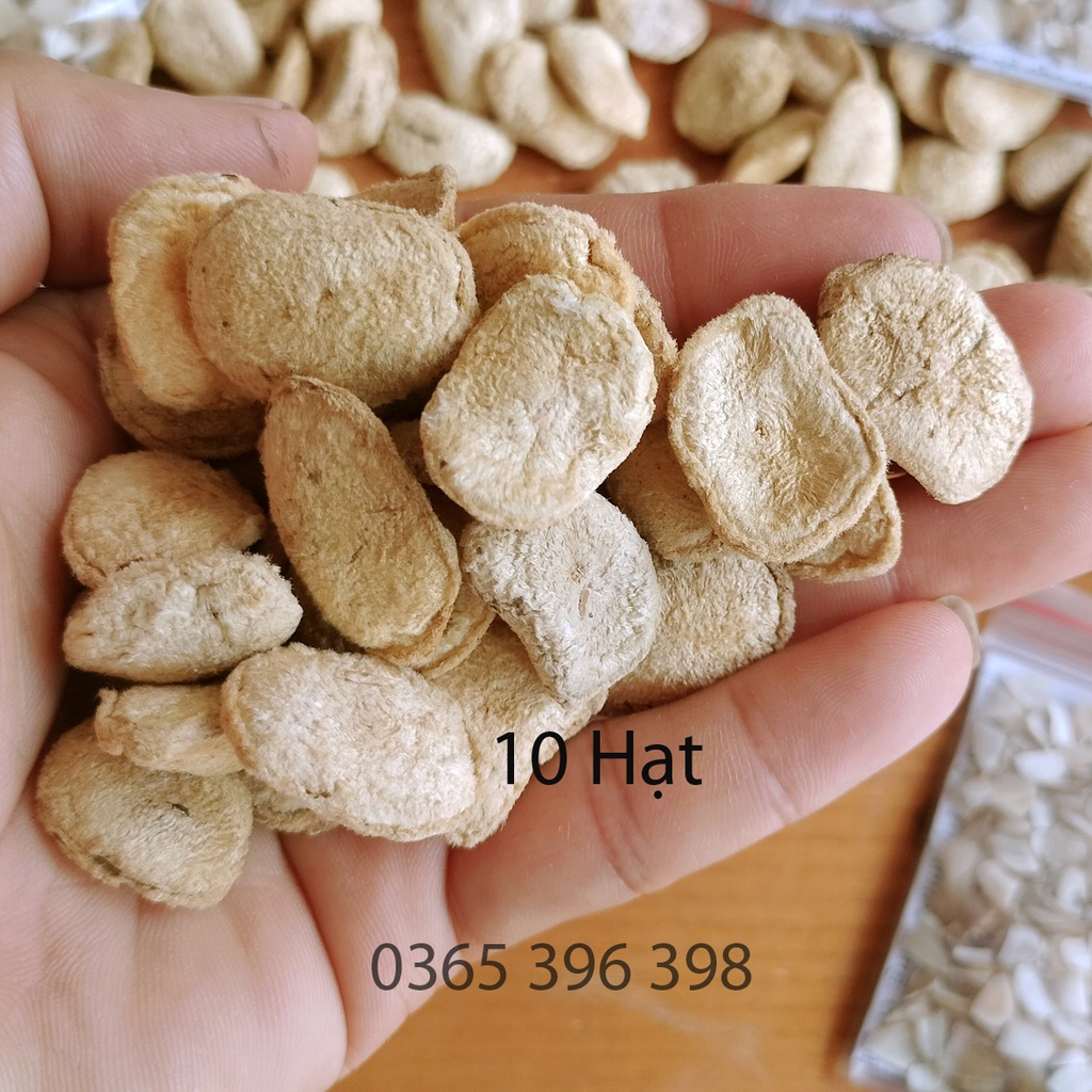 Hạt sành  dạ dày hạt già ruột trắng 1 gói 10 hạt cắt lát sẵn
