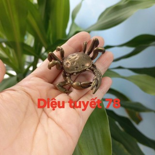 Cua đồng phong thủy kích thước 5cm
