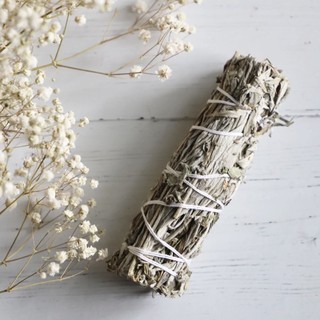 Xô Thơm Đen (Black Sage) Kết Nối Năng Lượng Tâm Linh & Bảo Vệ Giấc Ngủ l XÔ THƠM THANH TẨY