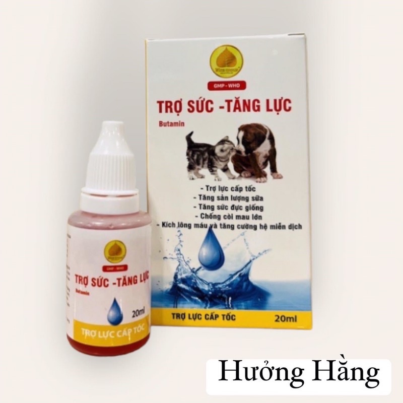 Trợ sức - tăng lực chó mèo Wins Group