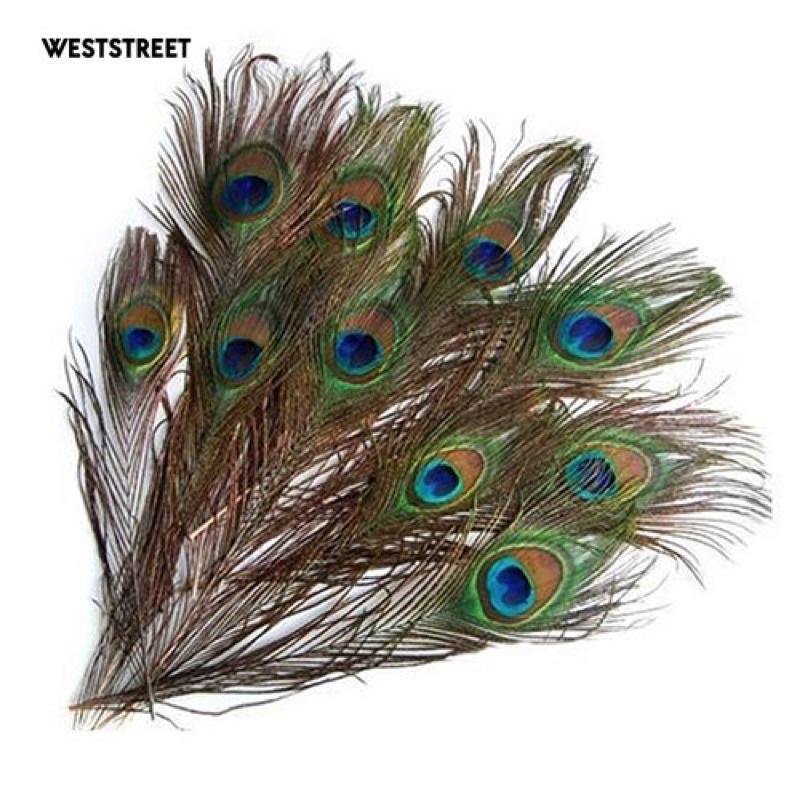 Lông công tự nhiên size 25cm trang trí tết, làm tháp oản, tháp bánh siêu đẹp và hàng có sẵn