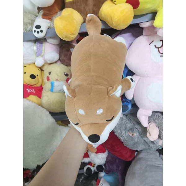 Gấu bông siba size 20-30cm