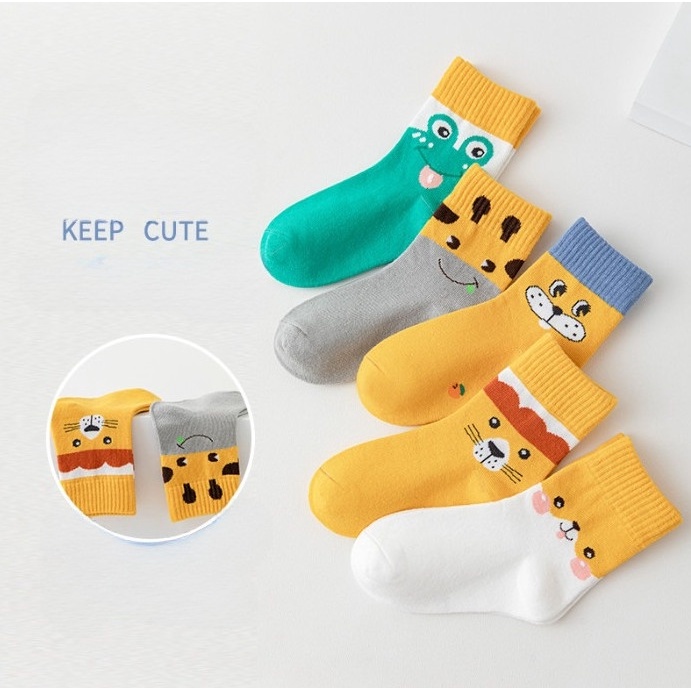 Set 5 đôi tất trẻ em mẫu mới