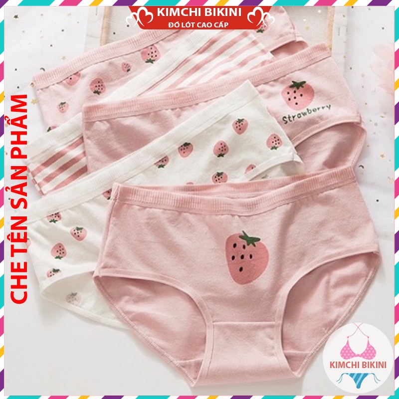 Quần nót nữ cotton cạp to dễ thương KIMCHIBIKINI quần nhỏ nữ vải mềm in hình dễ thương QL028