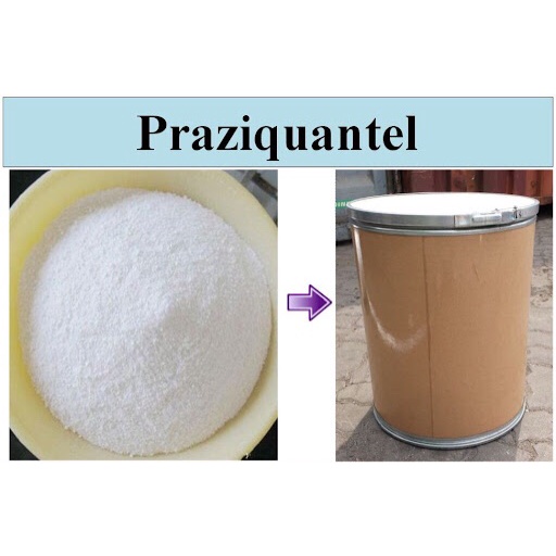 Thủy sản ký sinh trùng Praziquantel loại 1kg