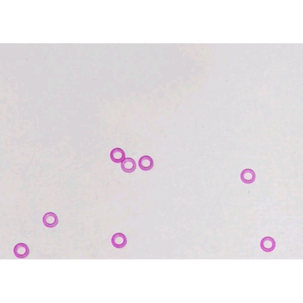 Linh kiện máy đồng hồ MIYOTA 8200