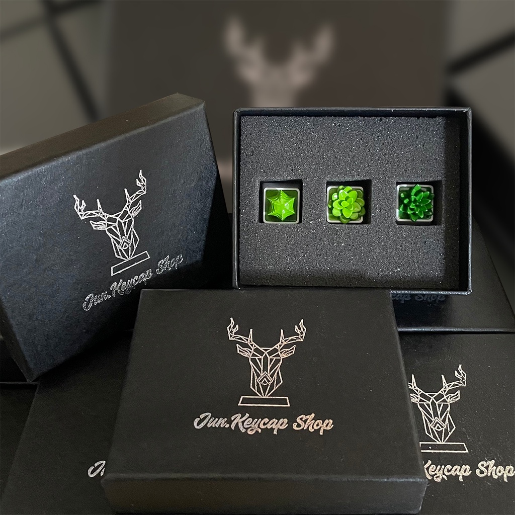 Keycap Ghế Nhựa - Phong cách đường phố bình dân Việt Nam