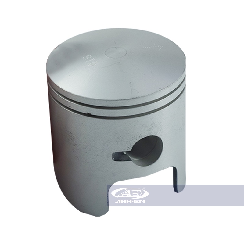 Bít tông + bạc + ắc + phe (ART) STD (RGV) - RGV120-0531