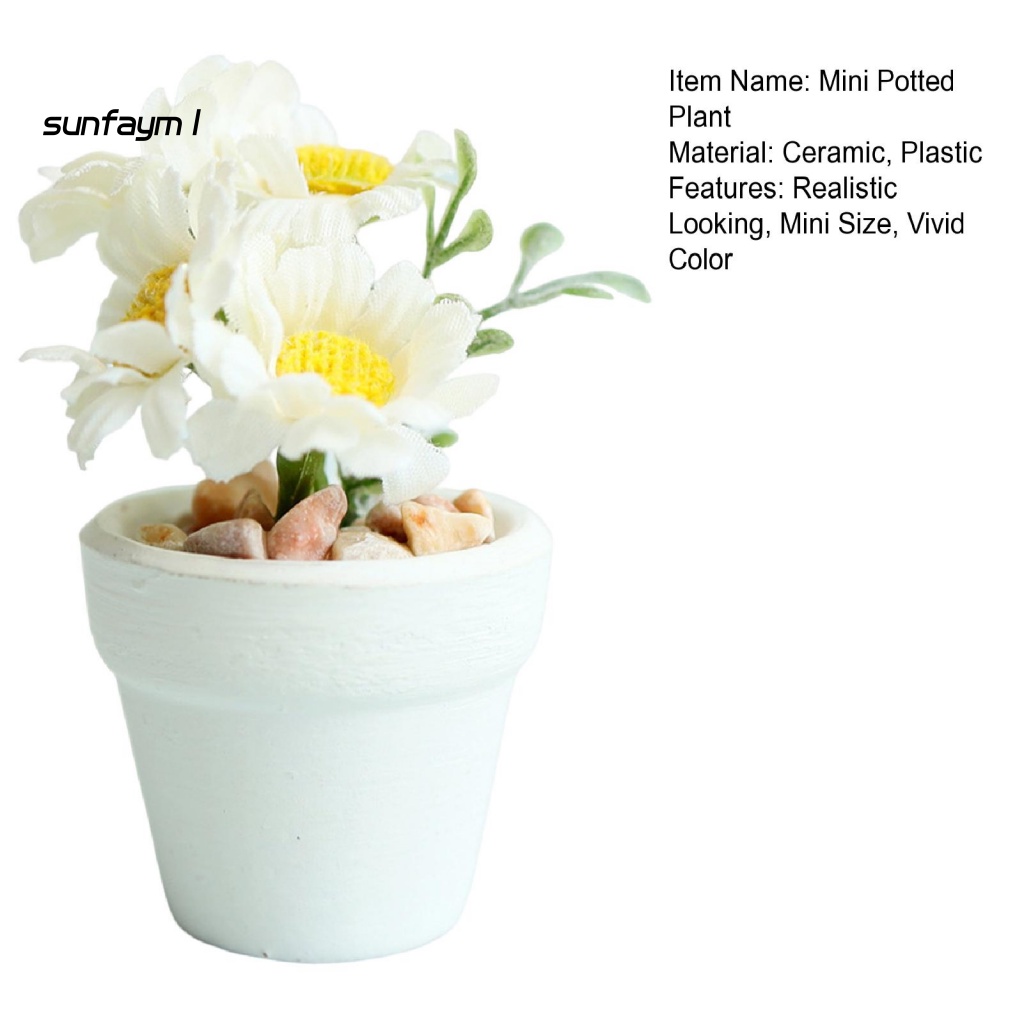 Chậu Cây Cảnh Mini Tỉ Lệ 1: 6 / 1: 8 Dùng Để Trang Trí Nhà Búp Bê