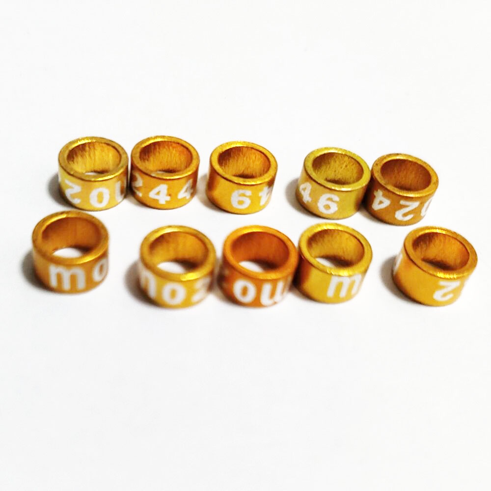 Set 30 / 10 Vòng Đeo Chân Huấn Luyện Chim Bằng Nhôm 5mm