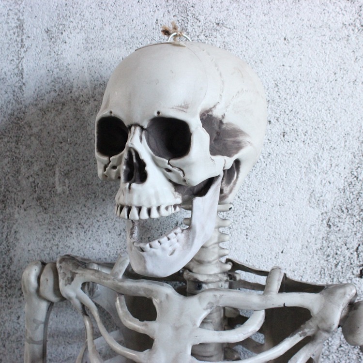 Mô Hình Bộ Xương Người Bằng Nhựa Tăng Chiều Cao 40cm Trang Trí Halloween