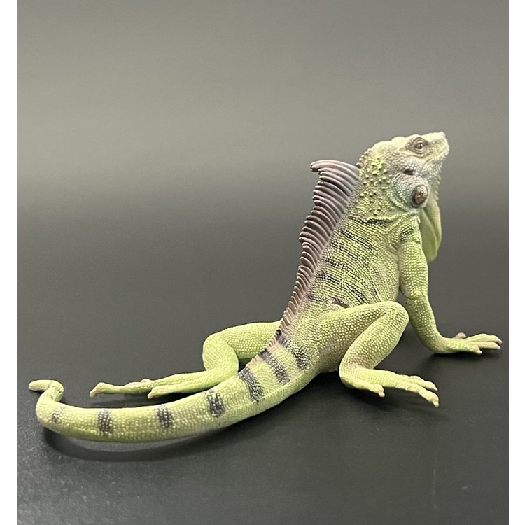 Mô Hình Đồ Chơi Động Vật Mô Phỏng iguana 2022 88965