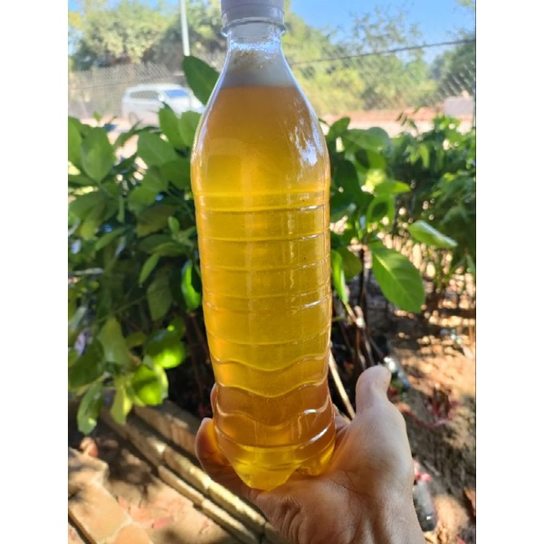 1Lít Mật Hoa Cỏ Kim Nguyên Chất 100% Giá Sỉ
