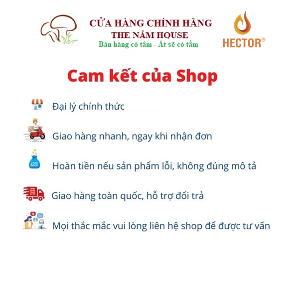 (Chai dùng thử) Nước Đông Trùng Hạ Thảo Hector Sâm Hộp 10 Chai Hector Cordyceps Ginseng