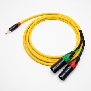 Dây 3.5 Ra 2 Đầu Canon Đực, dài 1m-2m-3m-5m, giá 1 dây.