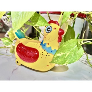 Gà đẻ trứng vui nhộn