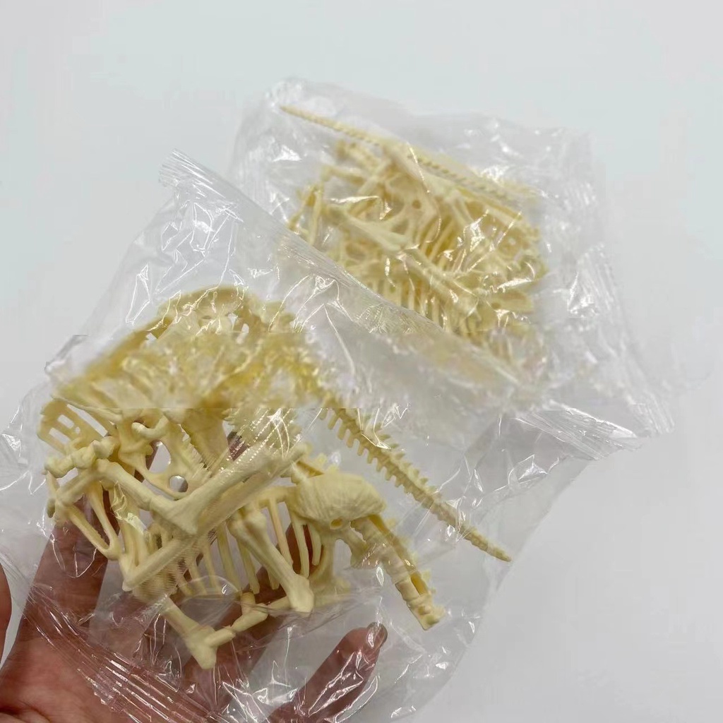 Bộ Xương Khủng Long Cao Cấp 16-22Cm