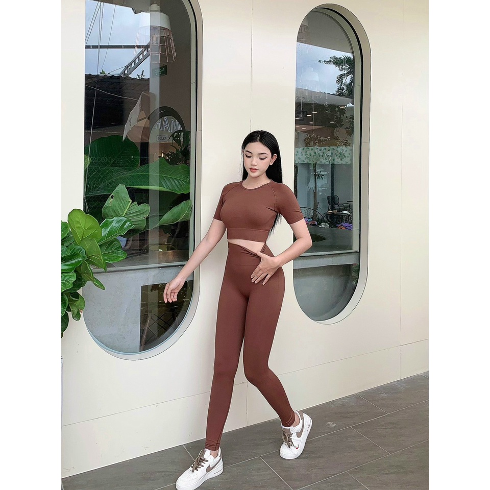 Đồ tập gym yoga thể thao nữ, set bộ dệt kim áo crop ngắn tay quần dài chun mông cao cấp Bin Sports BD183