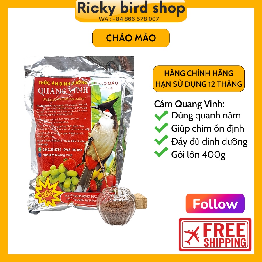 Cám chim chào mào non đến trưởng thành (400g thức ăn chim chào mào dinh dưỡng Quang Vinh)