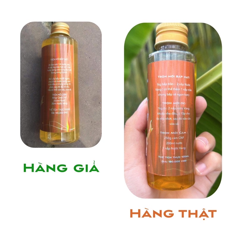 Nước Vàng Chung Nguyễn fishing