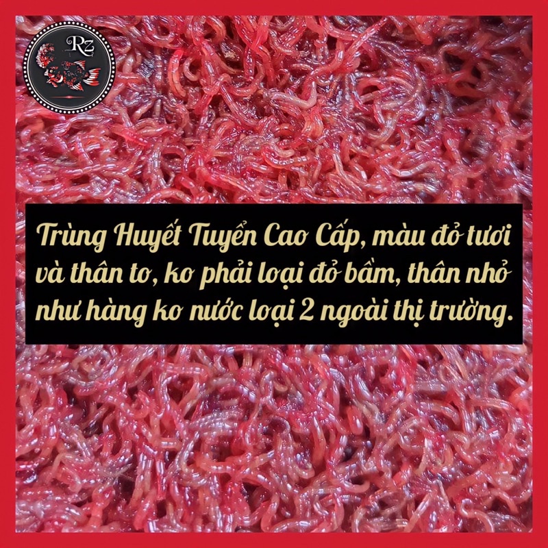 Trùng Huyết Không Nước Bản VIP