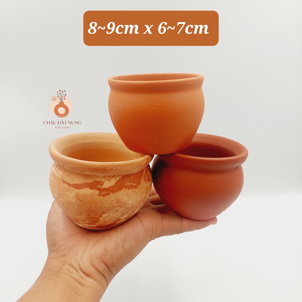 Chậu đất nung, Chậu sen đá- Bắp cải 86, miệng chậu 8~9cm, chiều cao 6~7cm