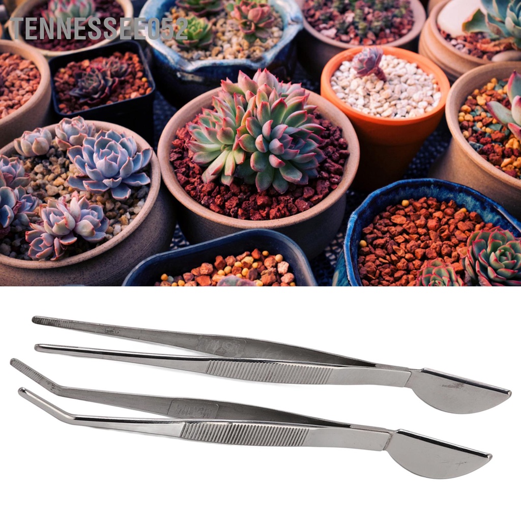 Nhíp Dài Bằng Thép Không Gỉ Dùng Trồng Cây Bonsai Tiện Dụng
