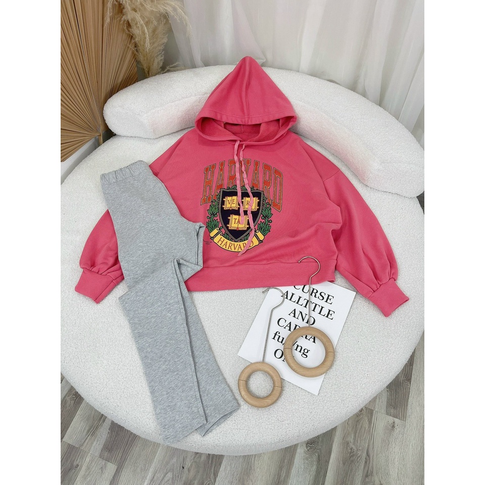 SET ÁO HOODIE HỒNG IN HÌNH + QUẦN LEGGING XÁM (TH)