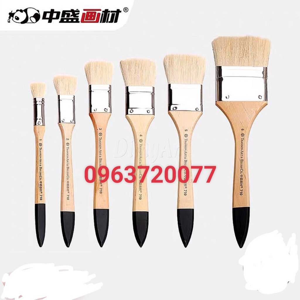 Chổi vẽ/panh xô lông cừu TRANSON cao cấp ( Bộ 6 cây lông mền bề rộng 1cm đến 6cm)