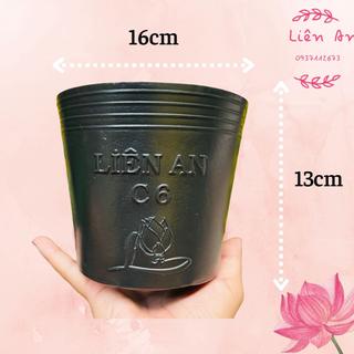 Chậu nhựa trồng cây Liên An C6 nhựa HDPE đàn hồi, có độ bền cao, hạn sử dụng lâu